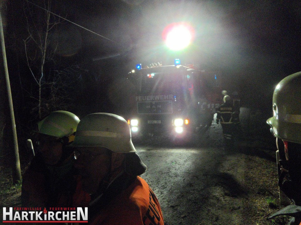 BaumaufStrasse 31 03 2015 07